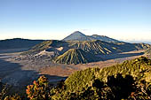 Mount Bromo Stock pictures